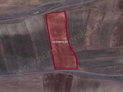 Ulukışla Küme2 Mah-Başmakçı Köyü. Satılık Tarla 13000 M2