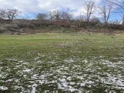 Bor Postallı Köyü Satılık Bağ 1560 M2