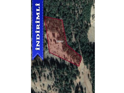 Yenikonacık Mazin Yolunda 19 Dönüm Kelepir Uygun Satılık Tarla Pozantı Mah