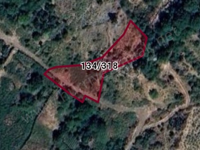 Pozantı Hamidiye De 1477 M2 Tek Tapu Satılık Bağ Mah