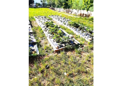 Pozantı Yenikonacıkta 4+1 Satılık Villa Yenikonacık Mah