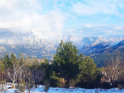 Yenikonacık Bozkırlıda İmarlı İfrazlı Satılık Parsel Pozantı Mah