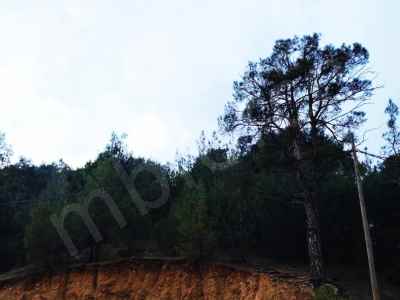 Parcel For Sale in  Turkey, Adana, Pozanti, Istiklal neighborhood , 310 m2