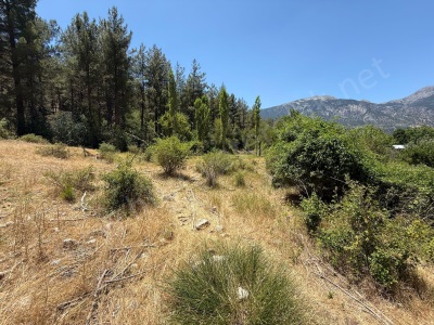 Pozantı Bürücekte 7069 M2 Satılık Tarla Aladağ Akören Mah