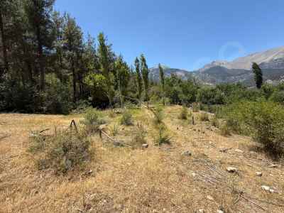Field For Sale in  Turkey, Adana, Aladag, Akoren neighborhood , 7069 m2