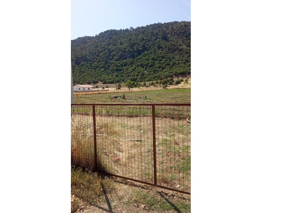 İslamlar Mah. Kaş Satılık Tarla | 5.000.000Tl Resim-1