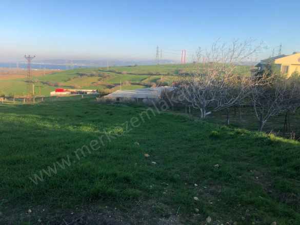 1299983641 Çanakkale Gelibolu Satırlık Satılık Tarla Bayırköy Köyü