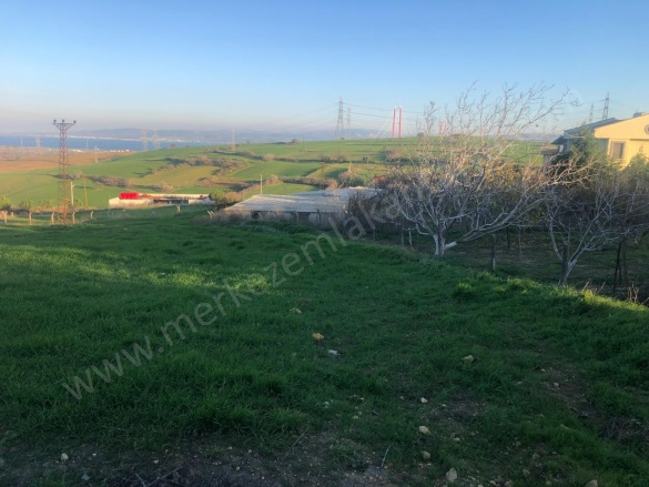 Bayırköy Köyü Gelibolu Satılık Tarla |  761M2 2.650.000Tl Resim-2