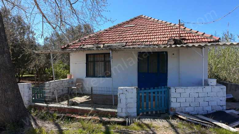 Kepez Ünsal Mah 1+1 8 Dönüm Zeytin Bahçesi Kiralık Bahçeli Ev