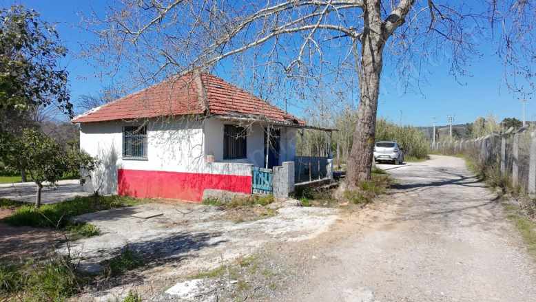 Kepez Ünsal Mah 1+1 8 Dönüm Zeytin Bahçesi Kiralık Bahçeli Ev