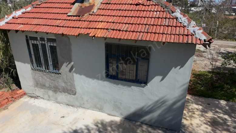 Kepez Ünsal Mah 1+1 8 Dönüm Zeytin Bahçesi Kiralık Bahçeli Ev