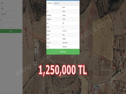 Merkez Hacılar Köyü Satılık Tarla 500 M2