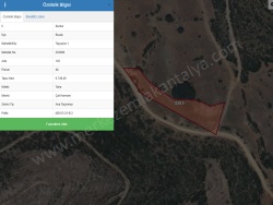 Bucak Taşyayla Mah. Satılık Tarla 6750 M2