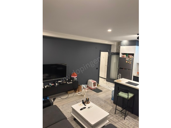 Altıntaş Mah. Aksu Kiralık Daire |  1+1 Oda | 65M2 Aylık 18.000Tl | Giriş Katı | Klima | 1 Banyo Resim-3