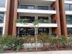 Döşemealtı Yeniköy Mah. Kiralık Daire 1+1 66 M2 | 2. Kat | Doğalgaz(Kombi) | 1 Banyo | 1 Yatak Odası