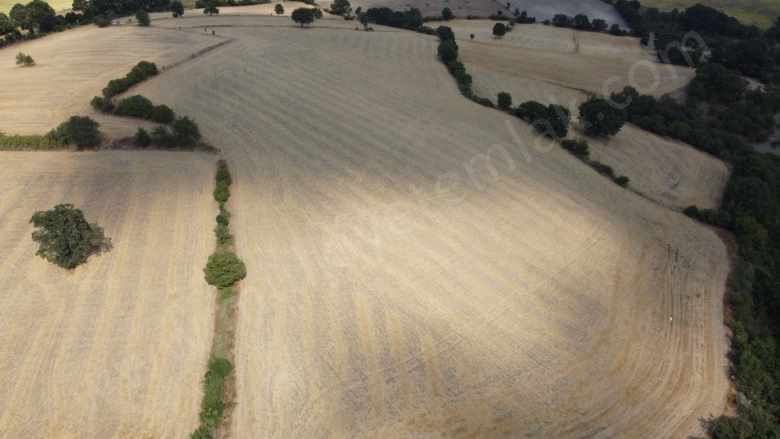 Gönene 2 Km 46 Dönüm Satılık Tarla Fırsat Yeniakçapınar Mah