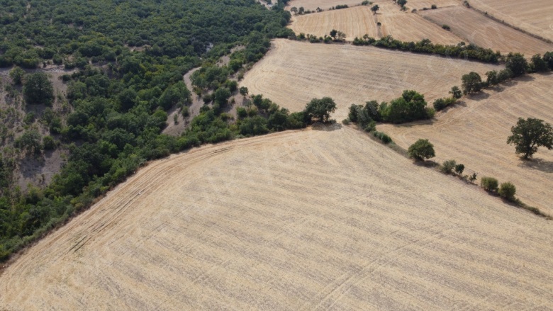 Yeniakçapınar Mah. Gönen Satılık Tarla |  46000M2 10.000.000Tl Resim-5