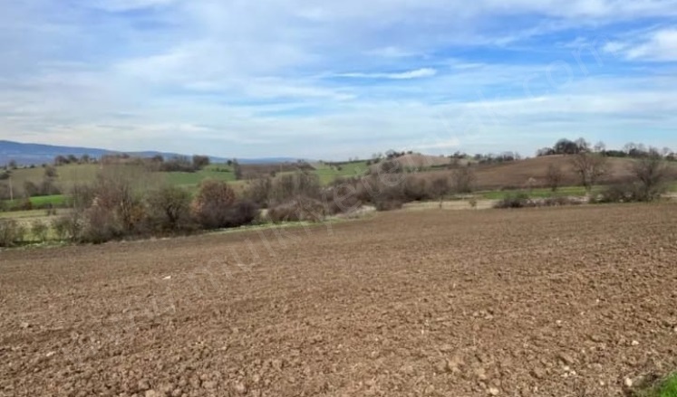 Hacıvelioba Mah. Gönen Satılık Tarla |  8875M2 2.800.000Tl Resim-2