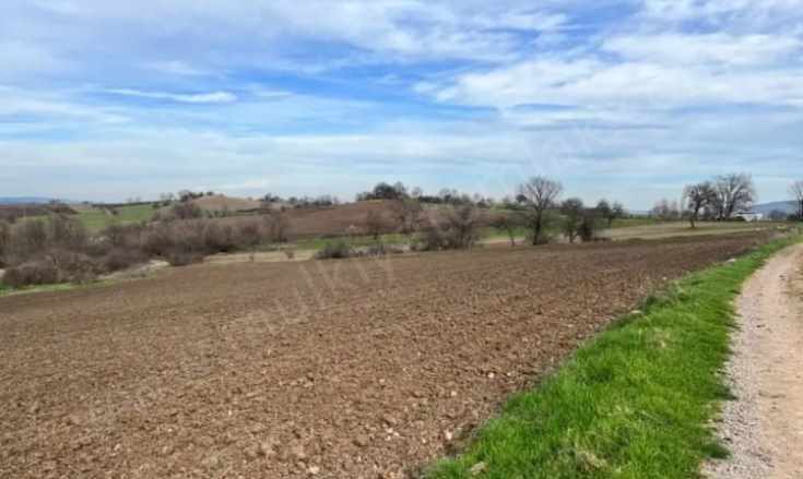 Hacıveliobada Her Projeye Uygun 8 875 M2 Satılık Tarla Gönen Hacıvelioba Mah