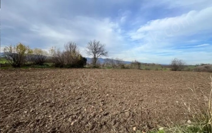 Hacıvelioba Mah. Gönen Satılık Tarla |  8875M2 2.800.000Tl Resim-4