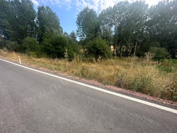 Üyücek Köyü Tavşanlı Satılık Tarla |  377M2 155.000Tl Resim-5