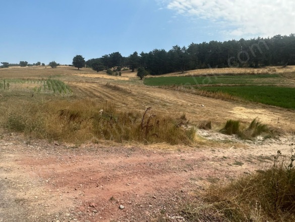 Üyücek Köyü Tavşanlı Satılık Tarla |  496M2 160.000Tl Resim-2