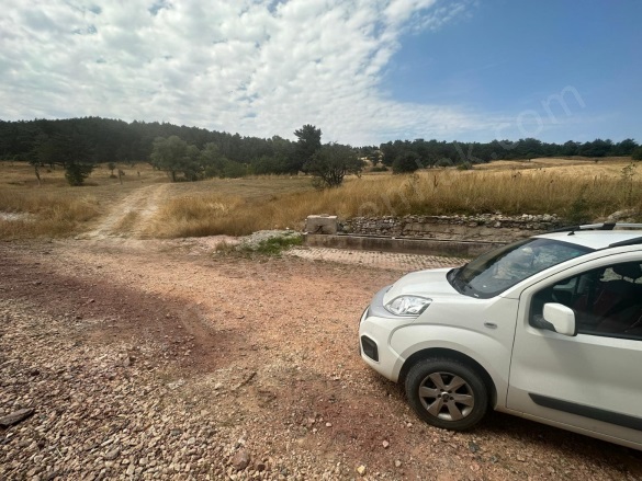 Üyücek Köyü Tavşanlı Satılık Tarla |  496M2 160.000Tl Resim-3