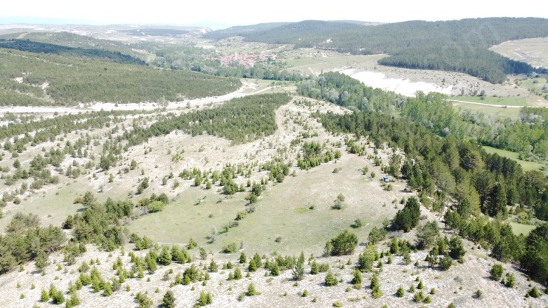 Yeğinler Köyü Gediz Satılık Tarla |  1998M2 125.000Tl Resim-2