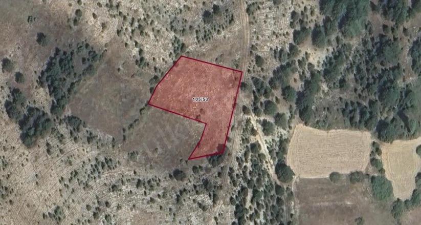 Yeğinler Köyü Gediz Satılık Tarla |  1998M2 125.000Tl Resim-3