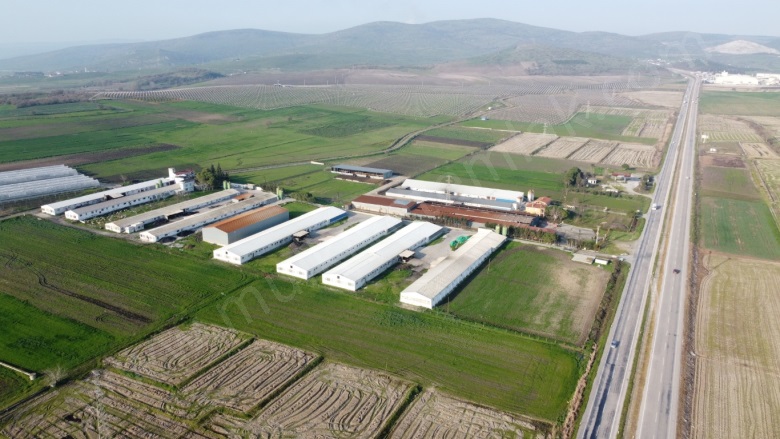 Tuzakçı Mah. Gönen Satılık Çiftlik |  50798M2 225.000.000Tl | Kat Kaloriferi Resim-4