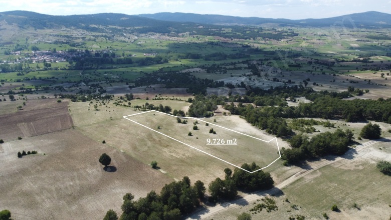 Tokul Köyü Aslanapa Satılık Tarla |  9726M2 430.000Tl Resim-1