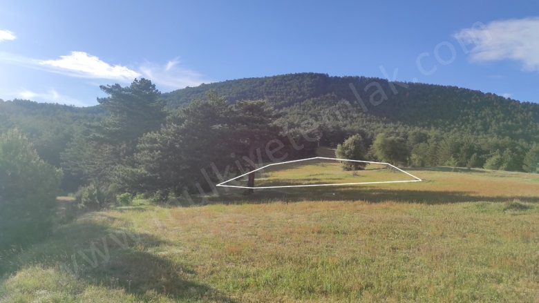 Tokul Köyü Aslanapa Satılık Tarla | 315.000Tl Resim-1