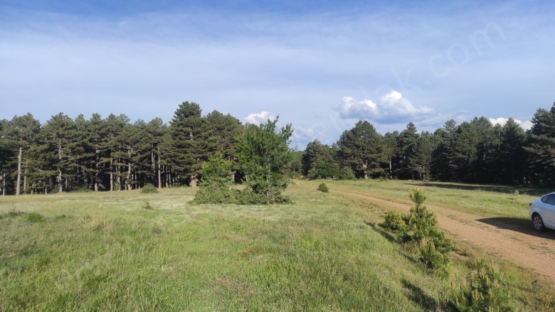 Tokul Köyü Aslanapa Satılık Tarla | 315.000Tl Resim-5