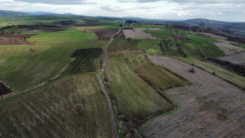 Körpeağaç Mah. Gönen Satılık Tarla |  9500M2 3.050.000Tl Resim-3