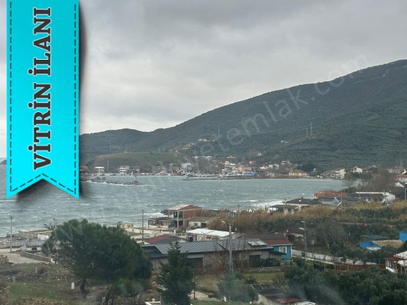 İlhan Mah. Erdek Satılık Zeytinlik |  1197M2 2.500.000Tl Resim-1