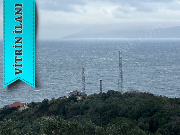 İlhan Mah. Erdek Satılık Zeytinlik |  1197M2 2.500.000Tl Resim-2