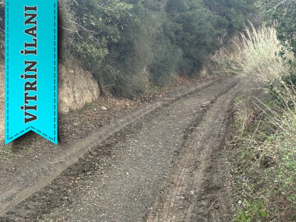 İlhan Mah. Erdek Satılık Zeytinlik |  1197M2 2.500.000Tl Resim-4