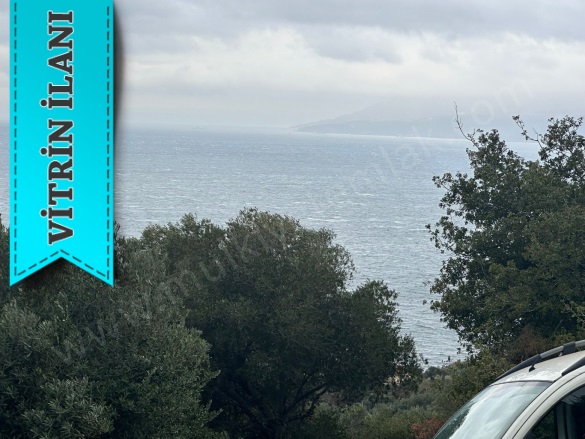 İlhan Mah. Erdek Satılık Zeytinlik |  1197M2 2.500.000Tl Resim-5