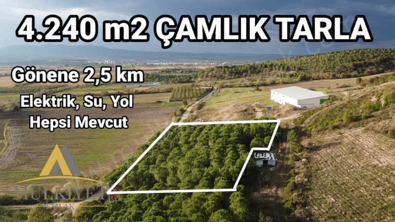 Tütüncü Mah. Gönen Satılık Tarla |  4240M2 2.600.000Tl Resim-1