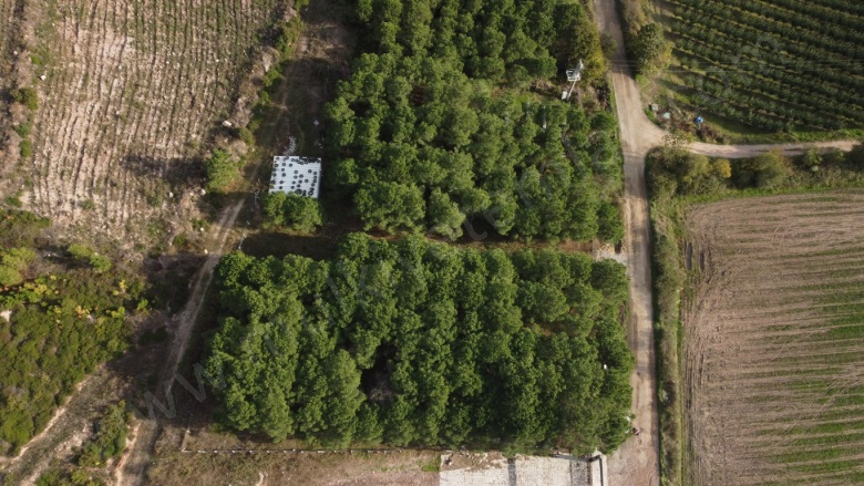 Tütüncü Mah. Gönen Satılık Tarla |  4240M2 2.600.000Tl Resim-2