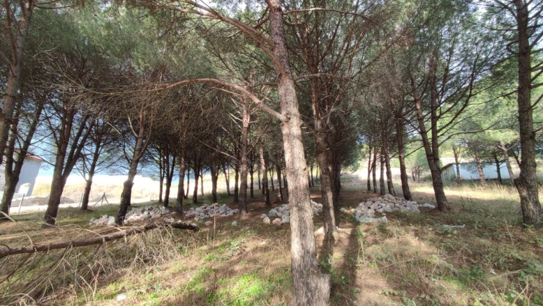 Tütüncü Mah. Gönen Satılık Tarla |  4240M2 2.600.000Tl Resim-3