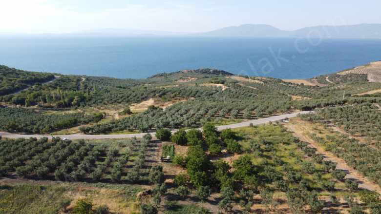 Deniz Manzaralı Vasfında 2 Dönüm Arazi Satılık Bağ Bandırma Misakça Mah