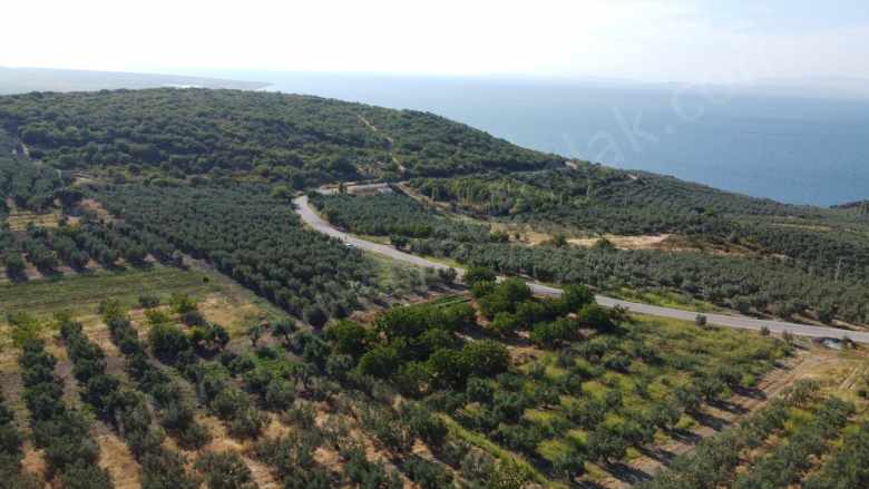 Deniz Manzaralı Vasfında 2 Dönüm Arazi Satılık Bağ Bandırma Misakça Mah