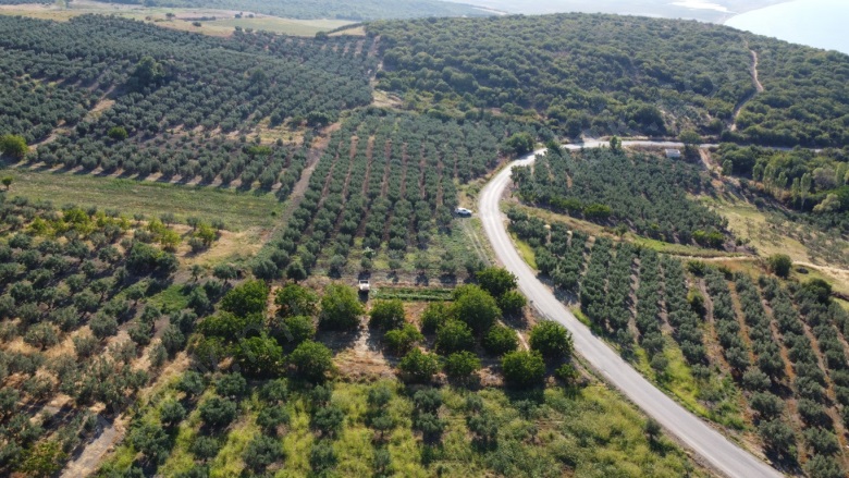 Misakça Mah. Bandırma Satılık Bağ |  2000M2 2.500.000Tl Resim-4