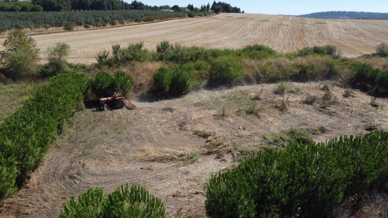 Çifteçeşmeler Mah. Gönen Satılık Tarla |  1778M2 1.600.000Tl Resim-1