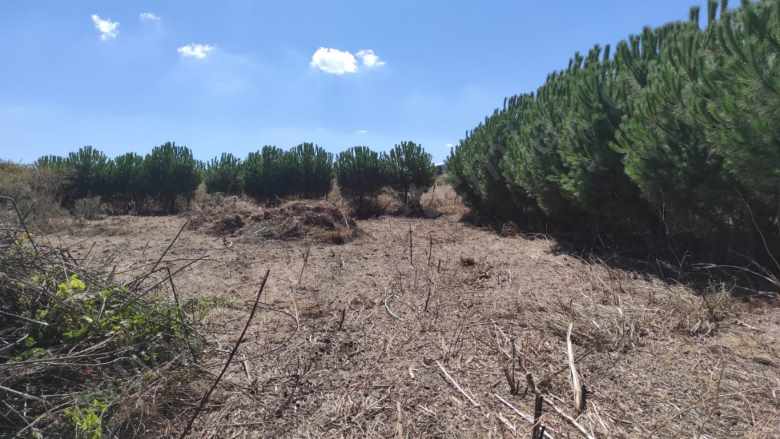 Çifteçeşmeler Mükemmel Konum Satılık Tarla Hazır Hobi Bahçesi Gönen Mah