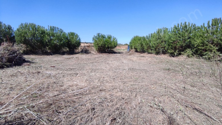 Çifteçeşmeler Mah. Gönen Satılık Tarla |  1778M2 1.600.000Tl Resim-4