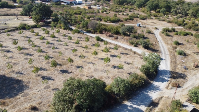 Osmanpazar Mah. Gönen Satılık Tarla |  1000M2 1.250.000Tl Resim-5