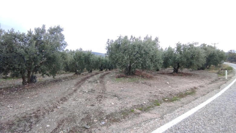 Misakça Mah. Bandırma Satılık Bağ |  2300M2 2.500.000Tl Resim-4