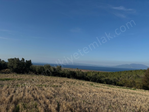 Misakça Mah. Bandırma Satılık Tarla |  14750M2 5.250.000Tl Resim-1